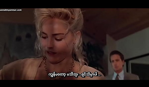 Basic Susceptibilities (Myanmar subtitle)