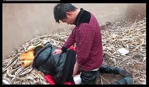 Chinese Couple Fucks In Advance a earn
